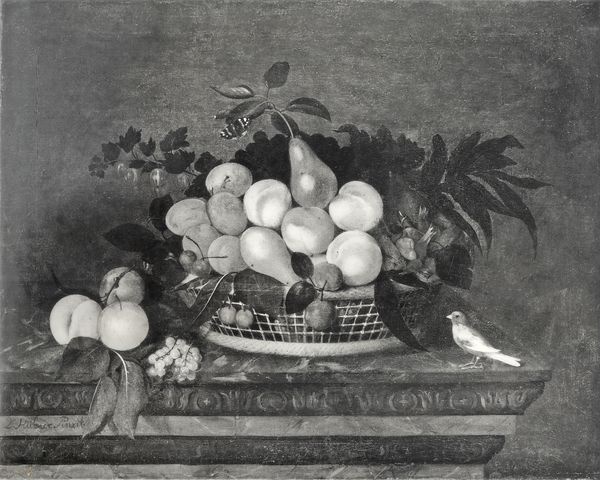 Allegri Ugo Fotografia — Autore non indicato - sec. XVIII - Natura morta con cesto di frutta e uccello — insieme